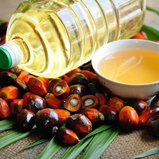 Bottles of fresh cooking oil on a production line